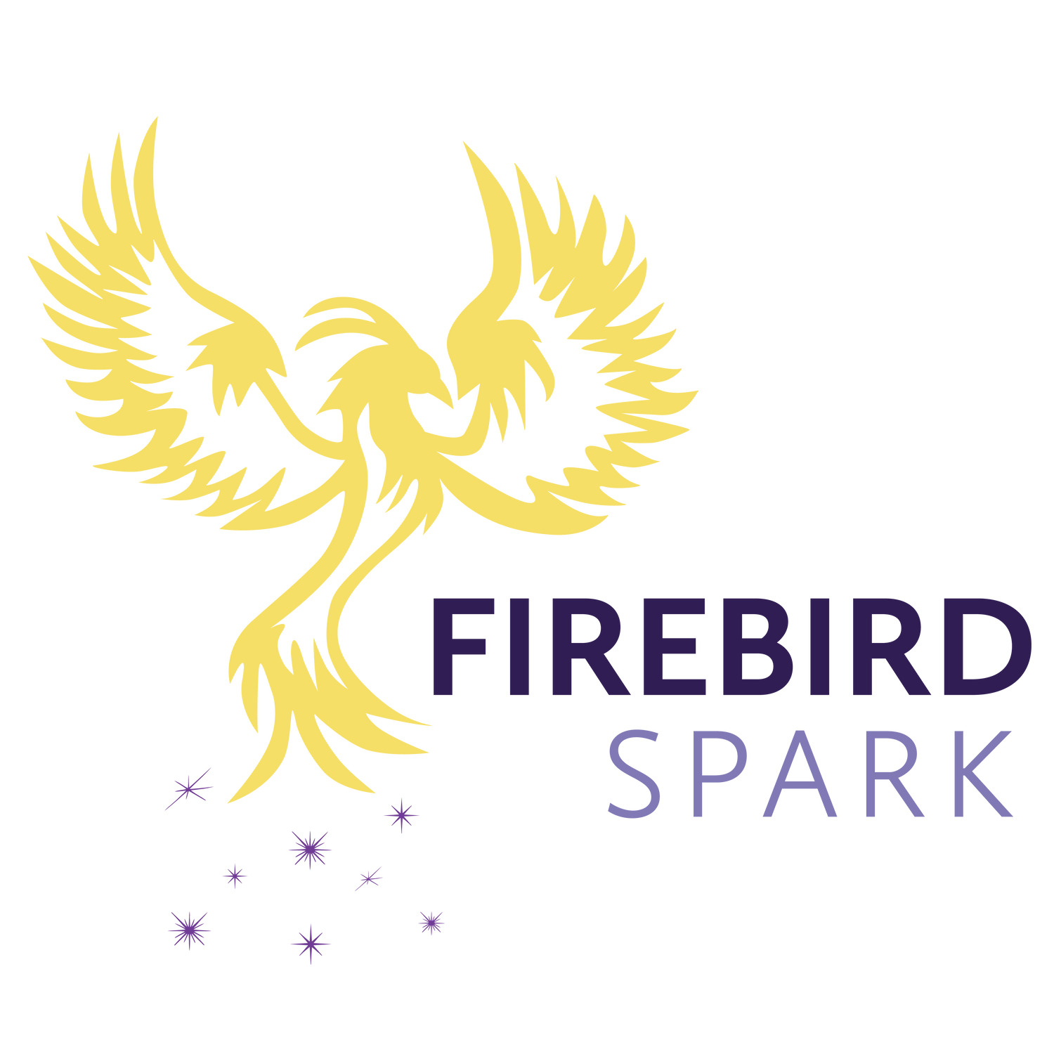 Firebird Spark Merchandise